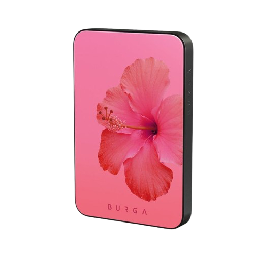 🌺 Hibiscus